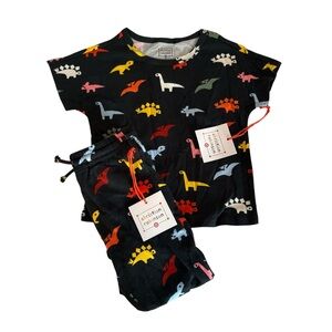 NWT Christian Robinson for Target Dinosaur Matching Set Size 4T